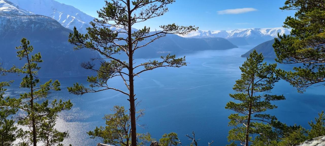 Timblalodgen Sogndal Kültér fotó