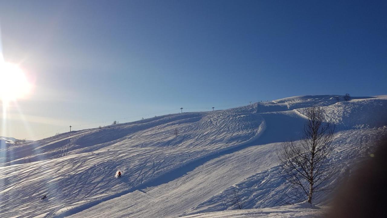 Timblalodgen Sogndal Kültér fotó