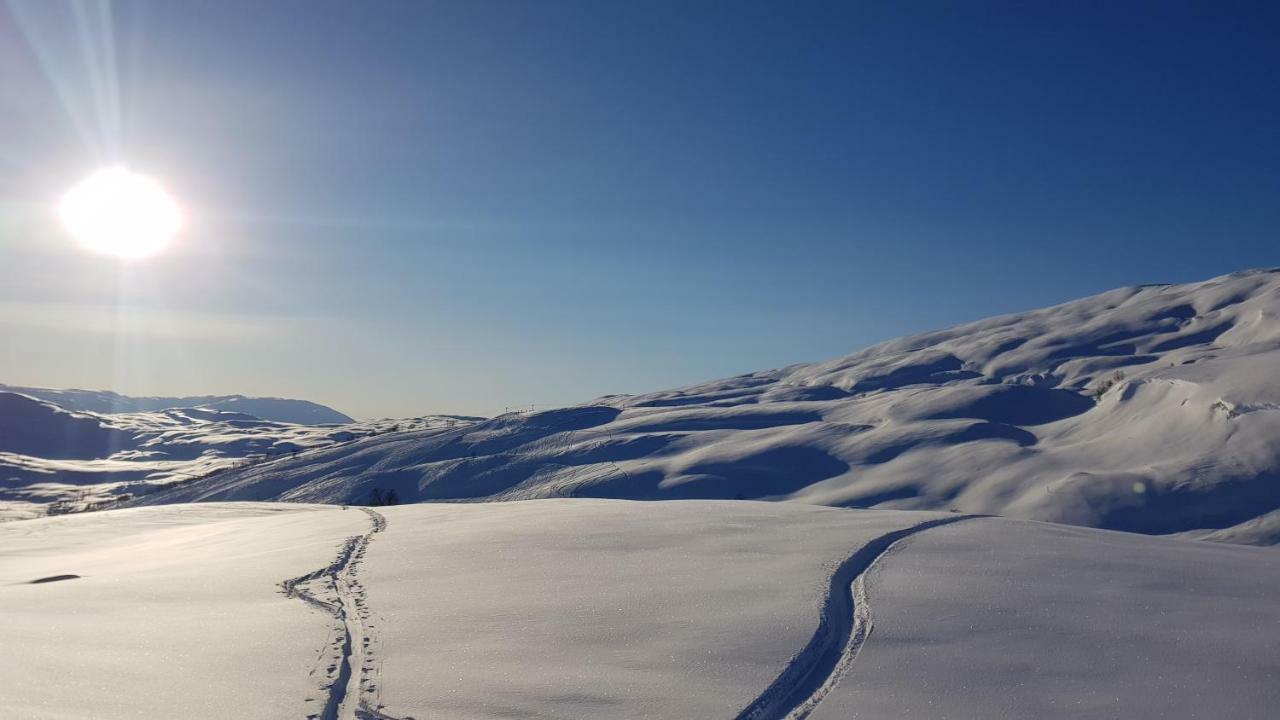 Timblalodgen Sogndal Kültér fotó