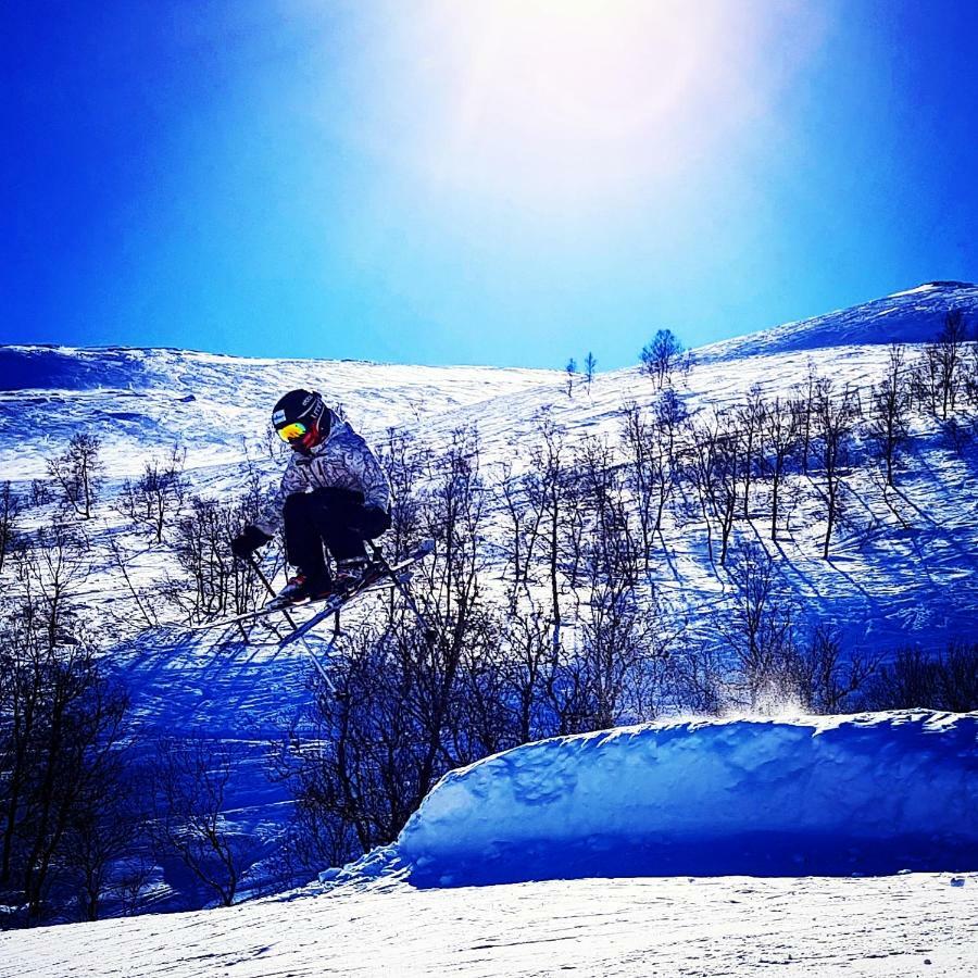 Timblalodgen Sogndal Kültér fotó